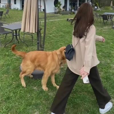 家务优等生